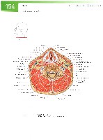 Sobotta Atlas of Human Anatomy  Head,Neck,Upper Limb Volume1 2006, page 161